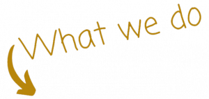 What we do